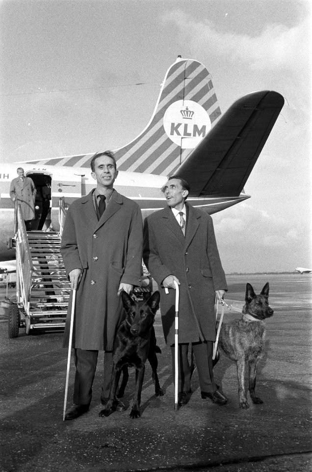 Vertrek van Schiphol van de eerste blindengeleidehond naar Spanje, Bestanddeelnr 911-8225