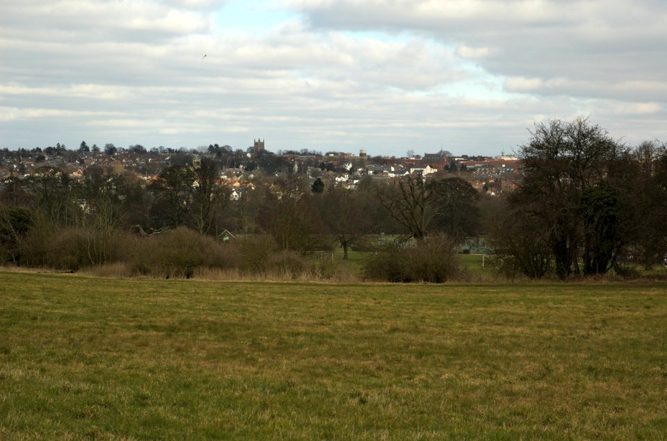Verulamium-Park-20060319-001