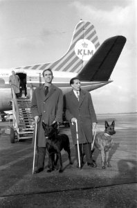 Vertrek van Schiphol van de eerste blindengeleidehond naar Spanje, links de heer, Bestanddeelnr 911-8229
