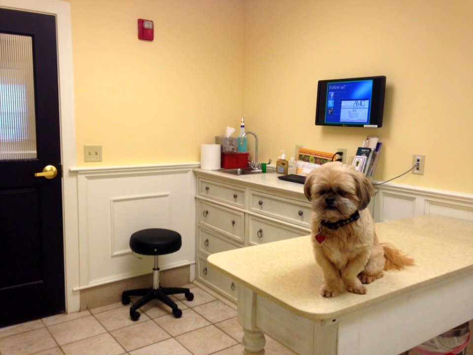 Veterinary Office with dog