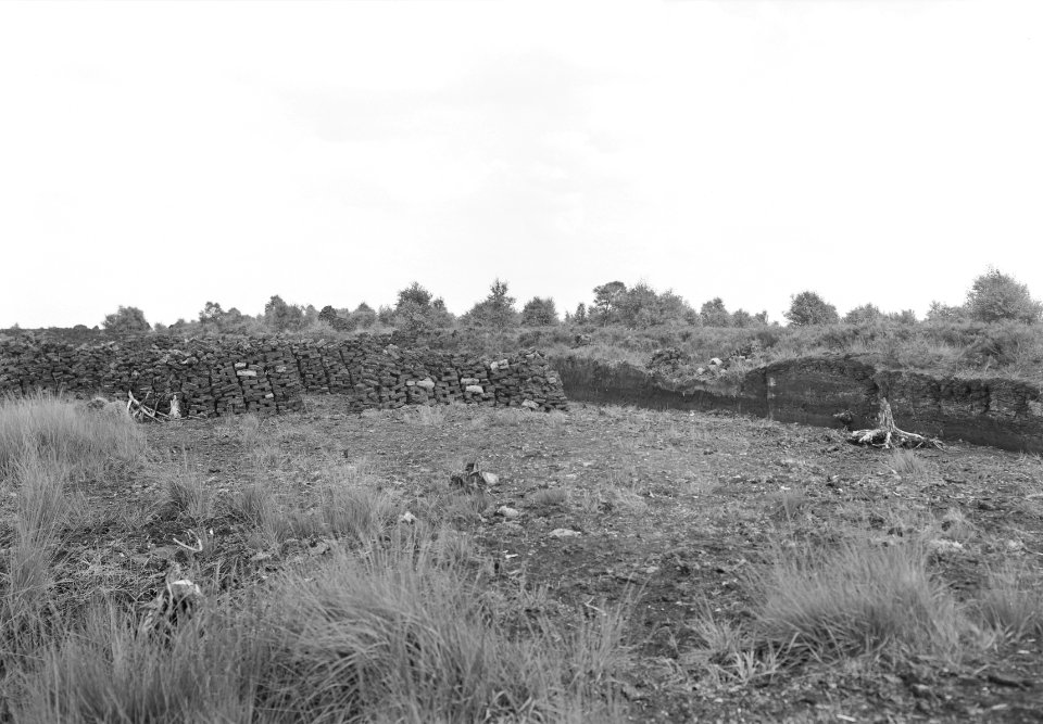 Vervening, De Peel, Bestanddeelnr 165-0010