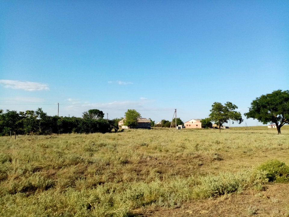 VetryankaRaz 7