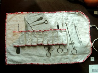 Veterinary teat instruments - Arppeanum - DSC05119