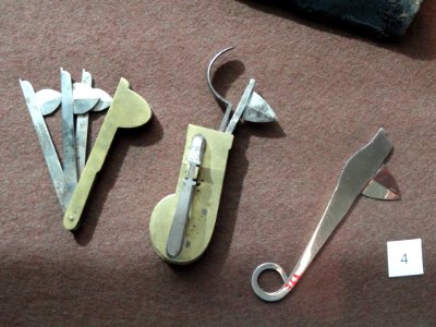 Veterinary bloodletters - Arppeanum - DSC05135