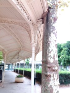 Vichy - Parc des Sources, passerelle couverte, arbre encastré