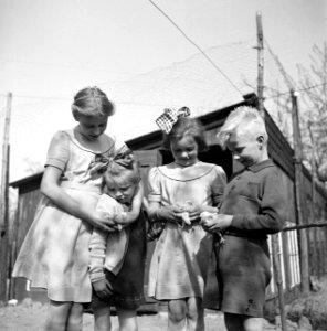Vier kinderen met kuikens, Bestanddeelnr 252-1928