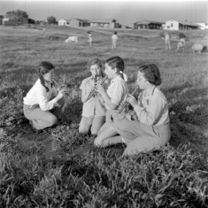 Vier blokfluitspelende meisjes van het kinderorkest van het kinderdorp Ben Sheme, Bestanddeelnr 255-0495