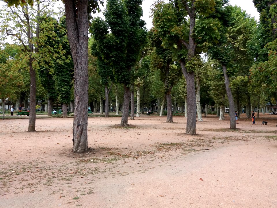 Vichy - Parc des Sources, arbres, vers le nord