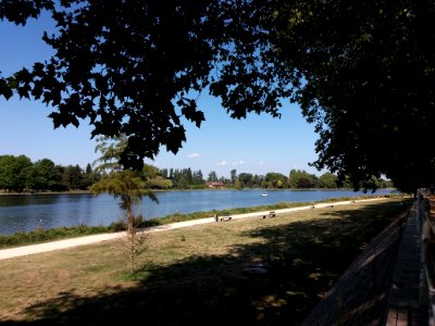 Vichy - Parc Napoléon III, allée au bord de l'Allier
