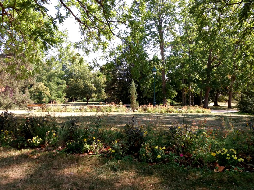 Vichy - Parc Napoléon III, fleurs et lampadaire