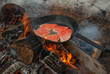 Trout fry flames
