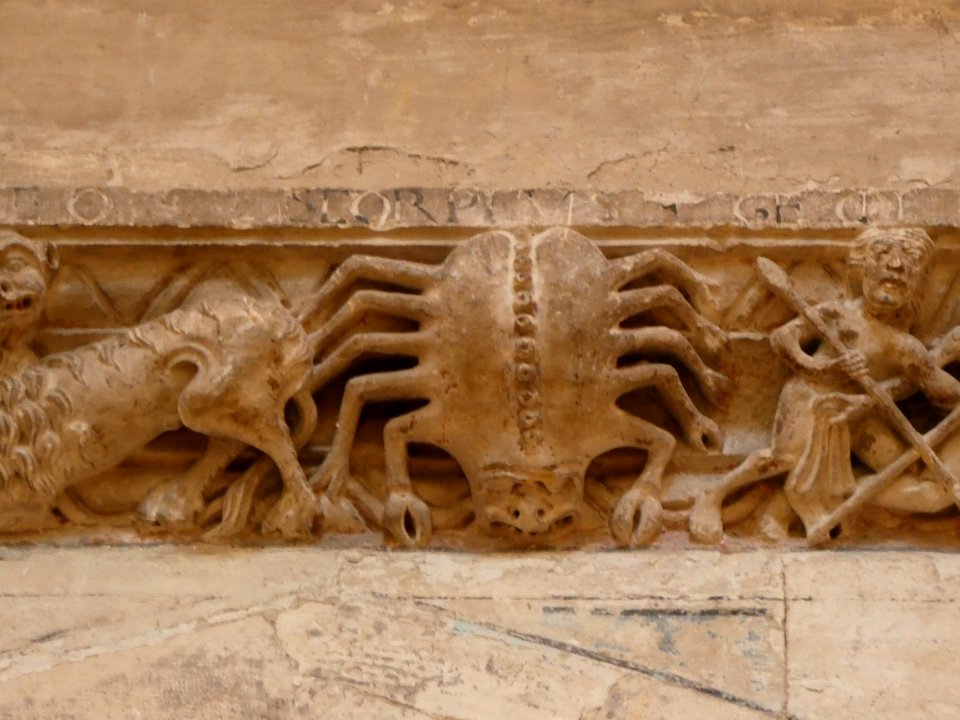 Vienne - Église Saint Maurice - Relief du zodiaque - Araignée