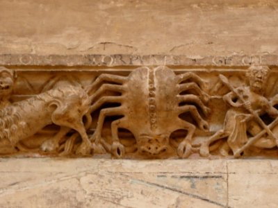 Vienne - Église Saint Maurice - Relief du zodiaque - Araignée