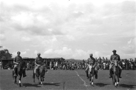 Vier Nederlandse militairen te paard, Bestanddeelnr 492-6-1