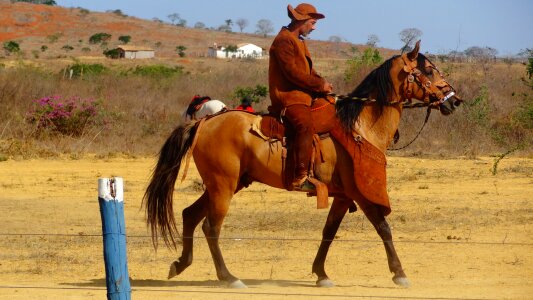 Northeast bahia dry land