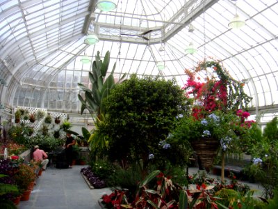 Victoria Hall and greenhouse in May 2015 - 14
