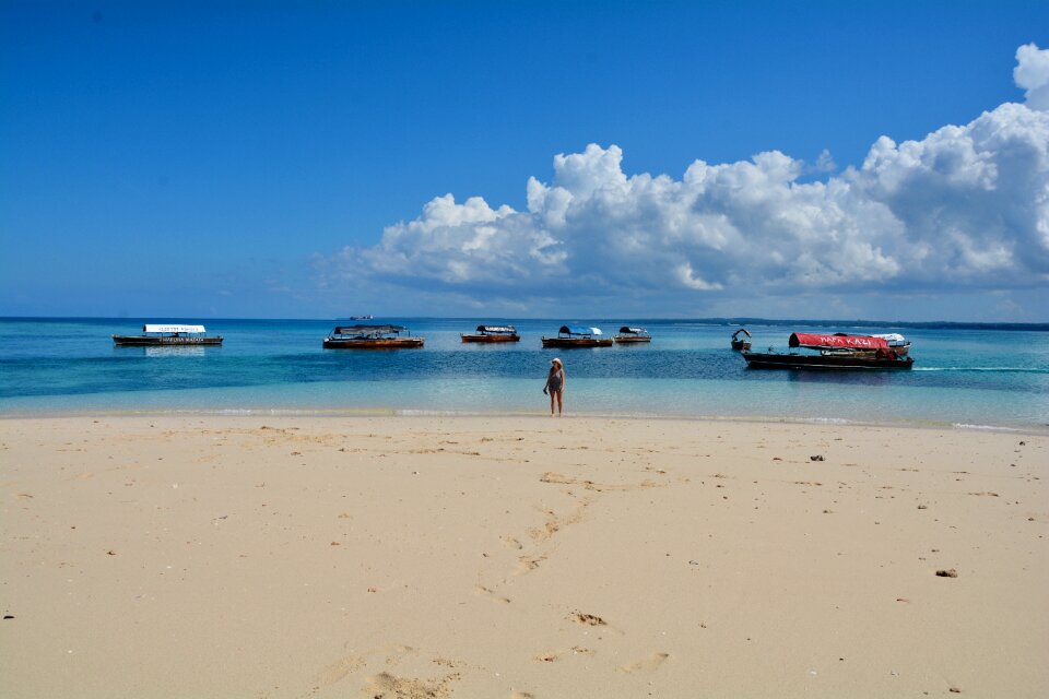 Safari blue relaxation landscape