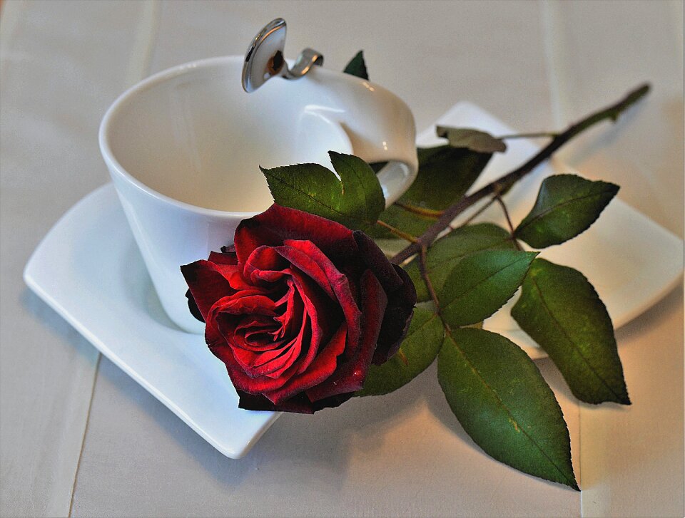 Cover coffee cup romantic
