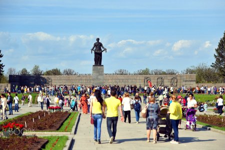 Victory Day (153579875)