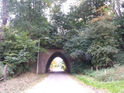 Viaduct weg Euverem-Reijmerstok (3)