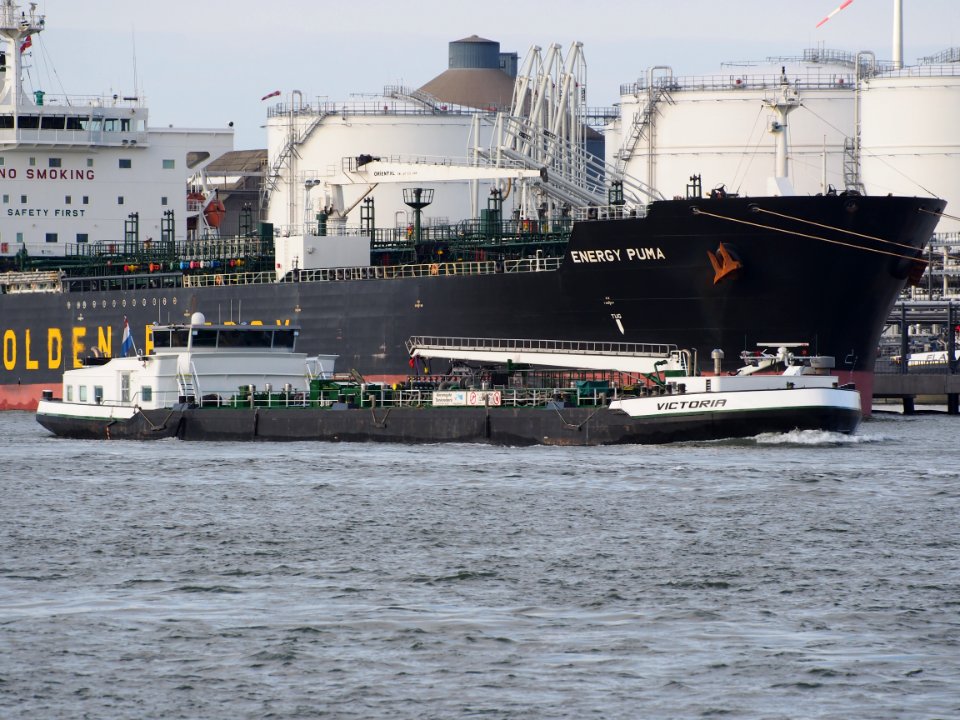 Victoria (ship, 2005), ENI 02327269, Port of Antwerp pic1