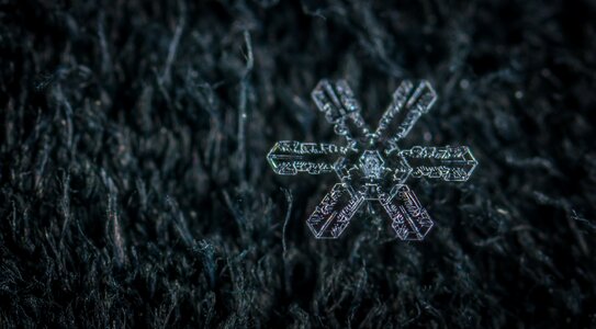 Snow macro snowflake