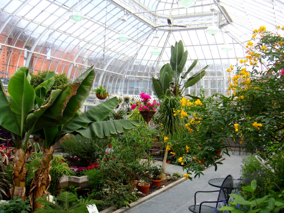 Victoria Hall and greenhouse in May 2015 - 13