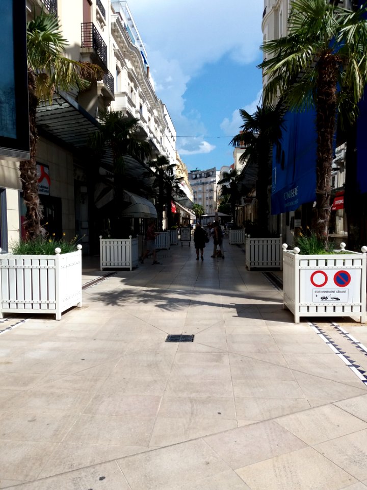 Vichy - Rue du Président Roosevelt, depuis la rue du Président Wilson