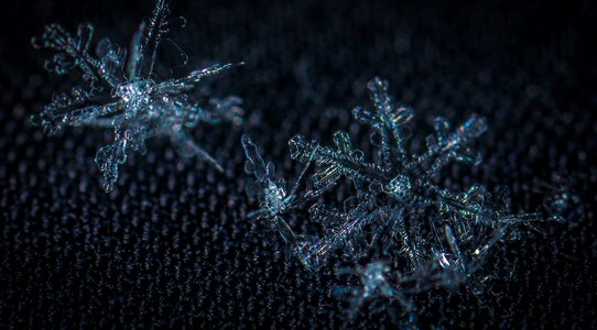 Snow macro snowflake