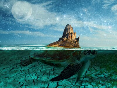 Island digital art turtle