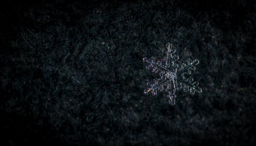 Snow macro snowflake
