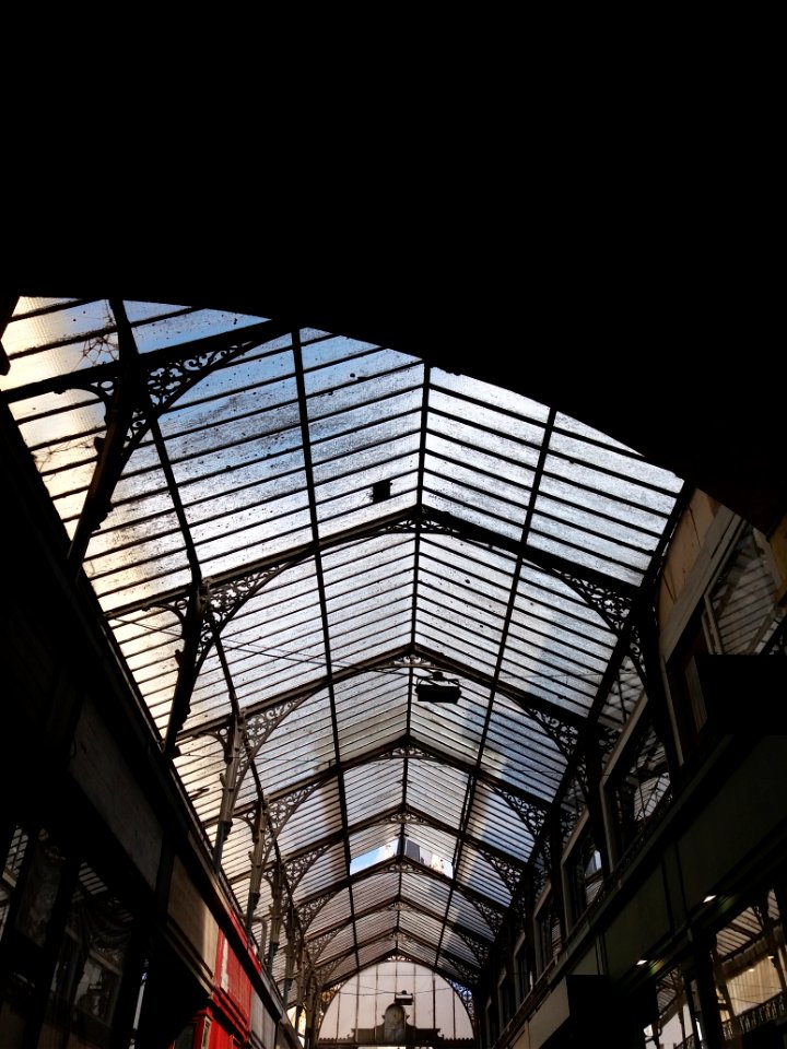 Vichy - Passage Giboin, verrière