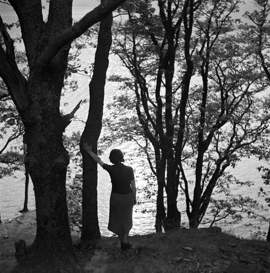 Vrouw in silhouet tussen bomen, Bestanddeelnr 254-2814