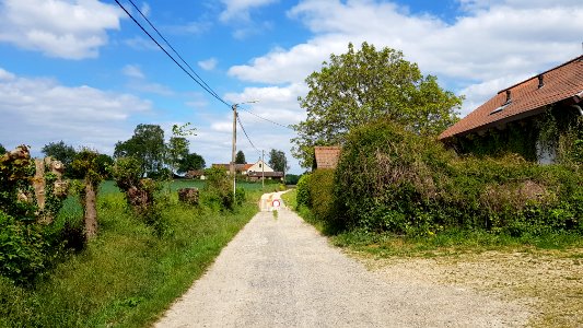 Vroenhoven-wegafsluiting Bieslanderweg (noordoost) (1)