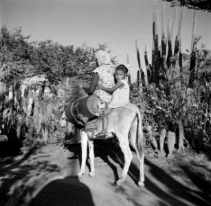 Vrouw en kind op ezel met watertonnen op Bonaire, Bestanddeelnr 252-8371