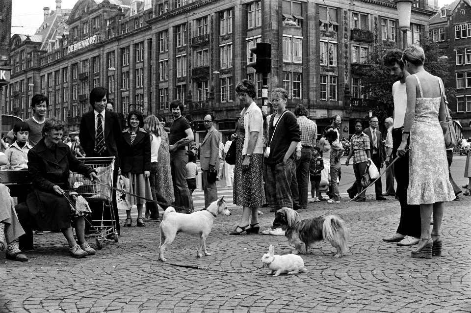 Vrouw laat konijn uit in Amsterdam, Bestanddeelnr 930-3878