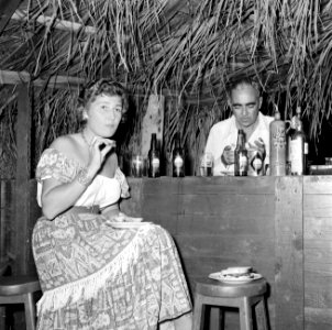 Vrouw aan de bar in een hut, Bestanddeelnr 252-3090