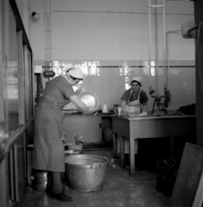 Vrouwen in de keuken in het Joodse werkdorp in de Wieringermeer, Bestanddeelnr 254-4907