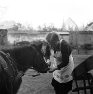 Vrouw voert ezel, Bestanddeelnr 901-0006