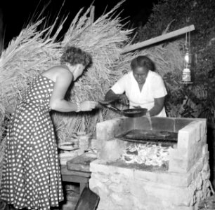Vrouw aan het barbecuen bij een hut, Bestanddeelnr 252-3093