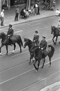 Vrouwelijke politie te paard in Amsterdam, Bestanddeelnr 933-0627