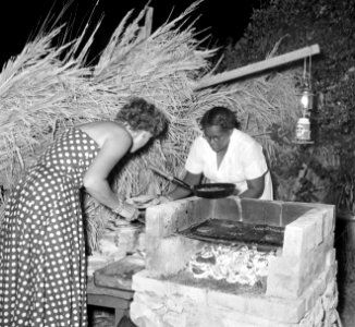 Vrouw aan het barbecuen, Bestanddeelnr 252-3098