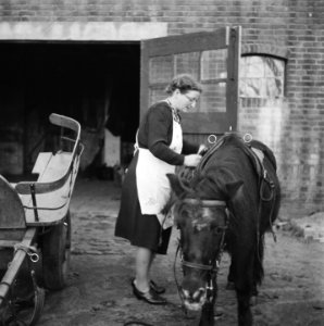 Vrouw verzorgt een paard in Putten, Bestanddeelnr 901-0030