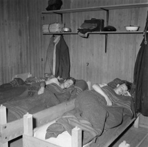 Vrijwilligers helpen de boeren in de Noordoostpolder, Bestanddeelnr 900-5653