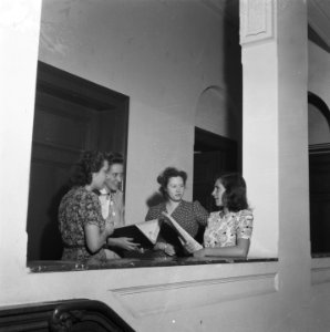 Vrouwelijk personeel in overleg, Bestanddeelnr 900-8193