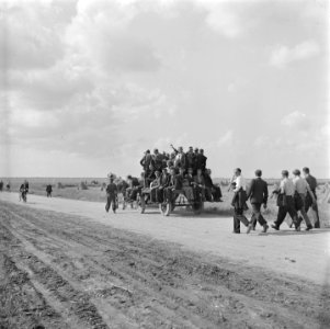 Vrijwilligers helpen de boeren in de Noordoostpolder, Bestanddeelnr 900-5633