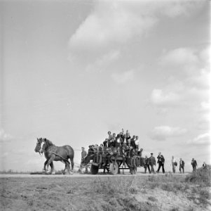 Vrijwilligers helpen de boeren in de Noordoostpolder, Bestanddeelnr 900-5632