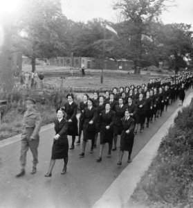 Vrijwillig Vrouwen Hulp Korps marcheert, Bestanddeelnr 935-2465