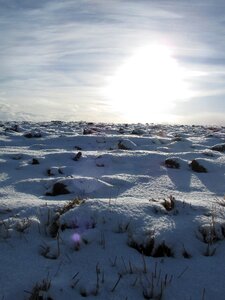 Cold landscape white photo