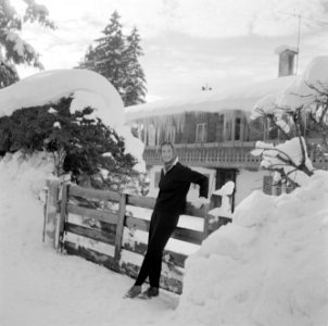 Vrouw bij een hek in besneeuwde omgeving, Bestanddeelnr 254-3782